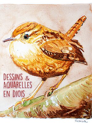 cover image of Dessins & Aquarelles en Diois